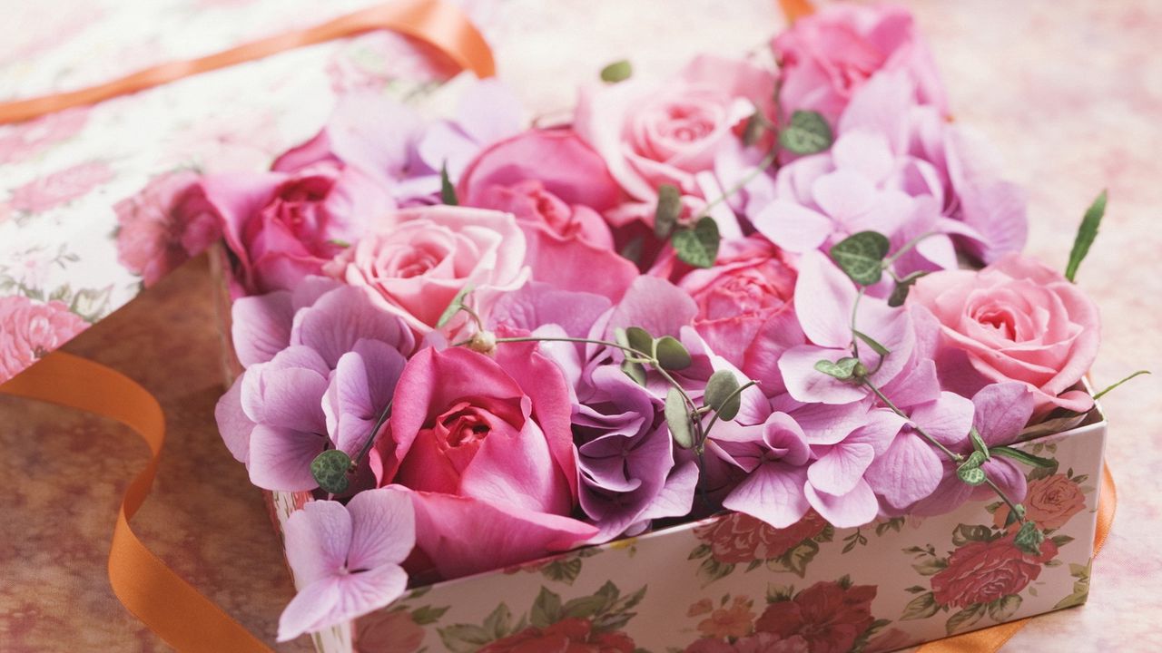 Обои розы, цветы, коробочка, лента, подарок