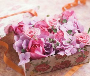 Превью обои розы, цветы, коробочка, лента, подарок