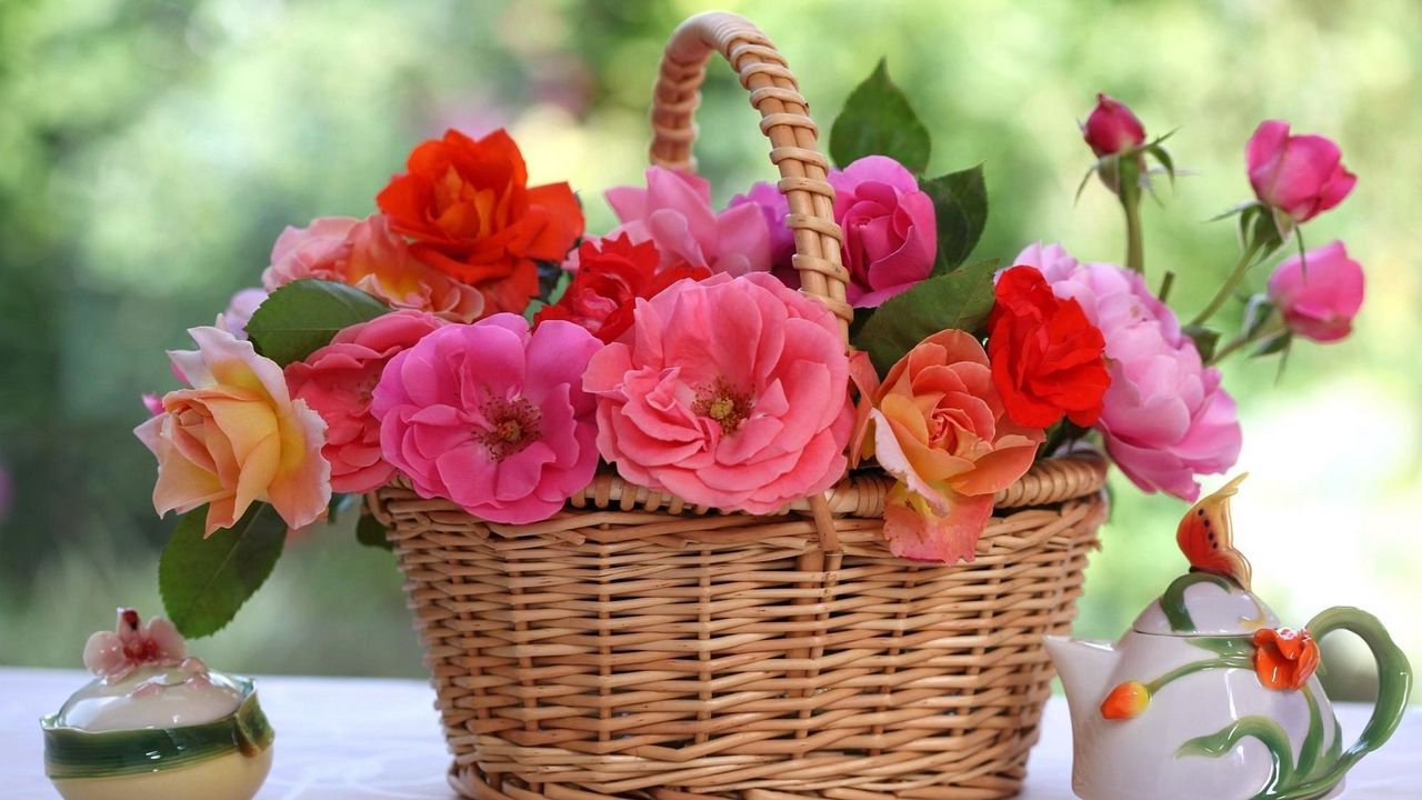 Обои розы, цветы, корзина, стол, размытость, фарфор