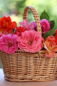 Превью обои розы, цветы, корзина, стол, размытость, фарфор