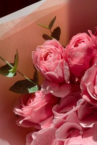 Превью обои розы, цветы, лепестки, букет, розовый