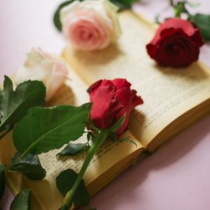 Превью обои розы, цветы, лепестки, книга, страницы, эстетика