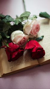 Превью обои розы, цветы, лепестки, книга, эстетика