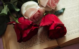 Превью обои розы, цветы, лепестки, книга, эстетика
