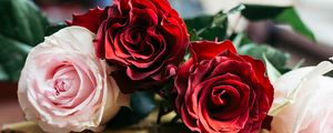 Превью обои розы, цветы, лепестки, букет, книги