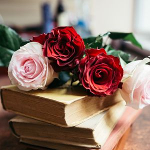 Превью обои розы, цветы, лепестки, букет, книги