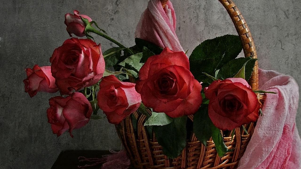 Обои розы, цветы, листья, корзина, палантин, стол, стена