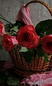 Превью обои розы, цветы, листья, корзина, палантин, стол, стена