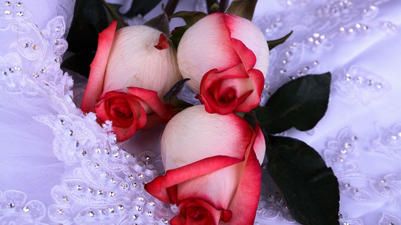 Обои розы, цветы, платье, свадьба, стразы