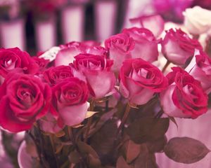 Превью обои розы, цветы, разные, красота