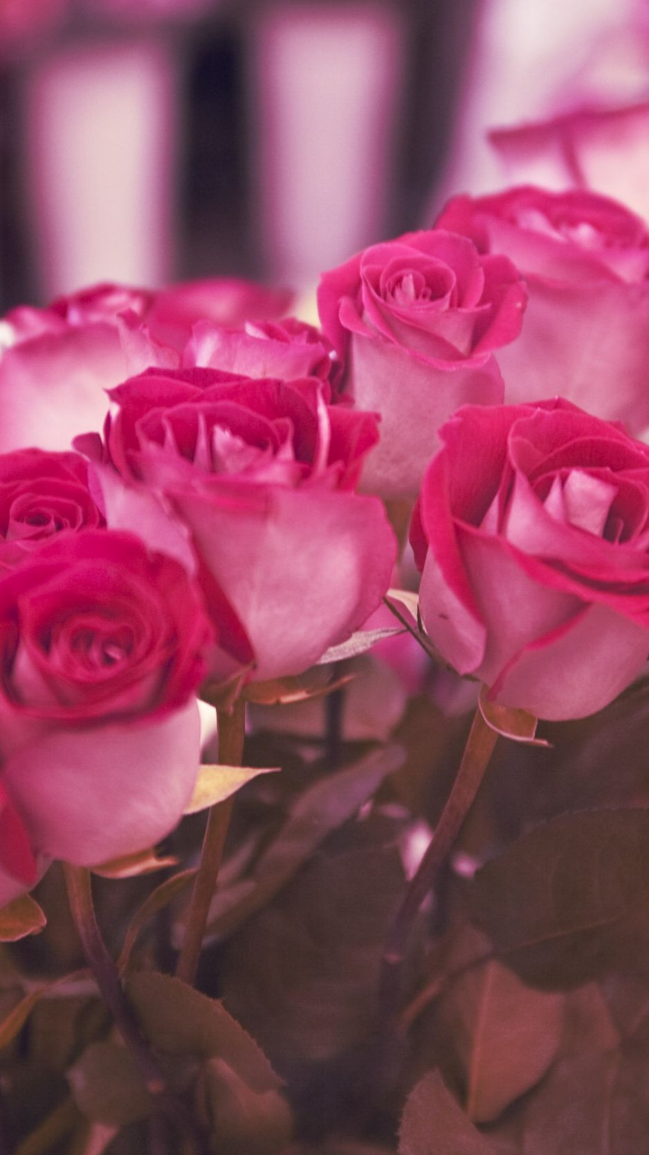 Темно розовые розы букет
