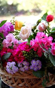 Превью обои розы, цветы, разные, много, садовые, корзина, композиция