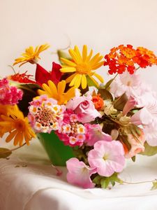 Превью обои розы, цветы, разные, чаша, чайные набор, скатерть