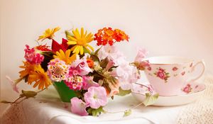 Превью обои розы, цветы, разные, чаша, чайные набор, скатерть