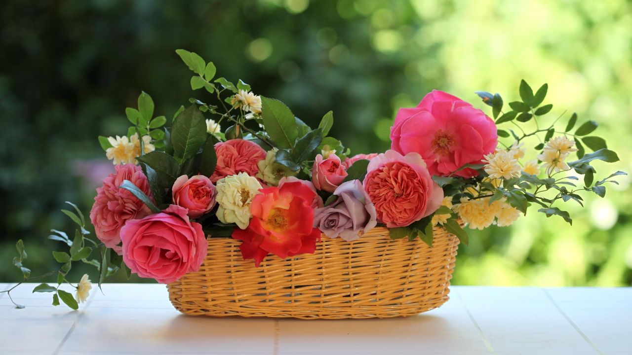 Обои розы, цветы, садовые, корзина, композиция, листья, ветки