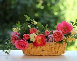 Превью обои розы, цветы, садовые, корзина, композиция, листья, ветки