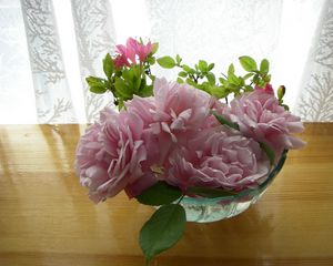 Превью обои розы, цветы, садовые, бутоны, ваза, стол, занавеска