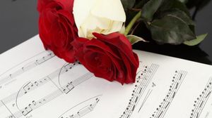 Превью обои розы, цветы, три, ноты, музыка