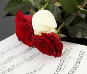 Превью обои розы, цветы, три, ноты, музыка
