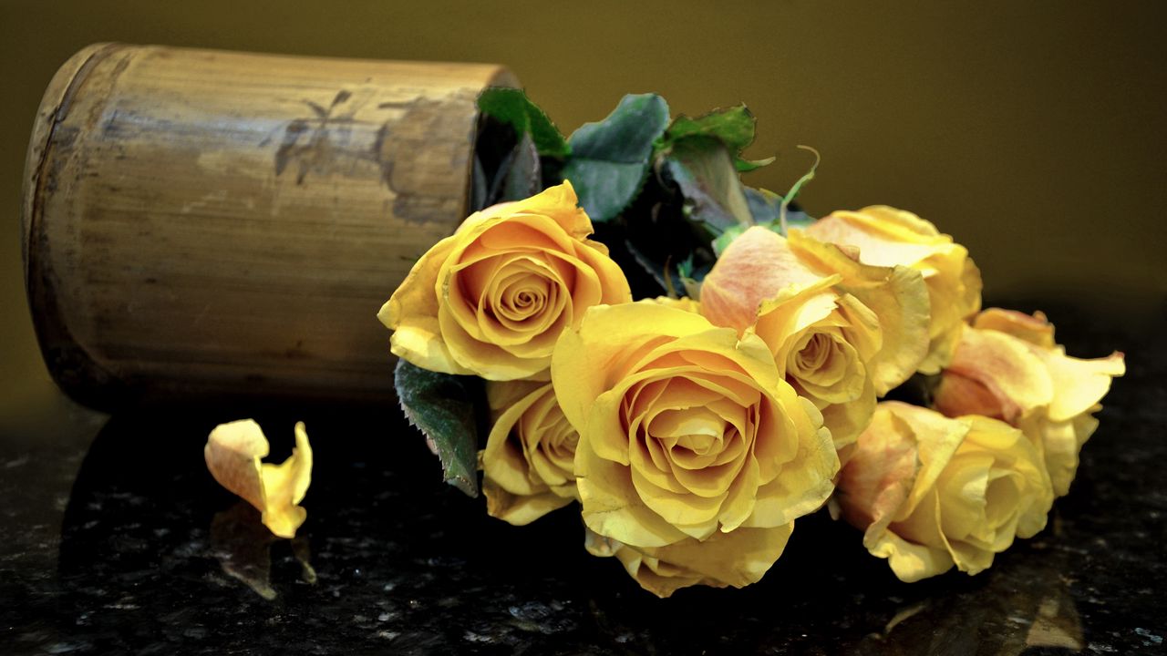 Обои розы, цветы, ваза, поверхность, листья, желтые