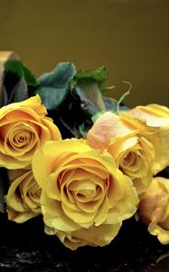 Превью обои розы, цветы, ваза, поверхность, листья, желтые