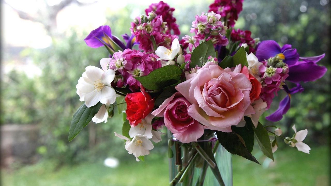 Обои розы, цветы, жасмин, букет, ваза, окно