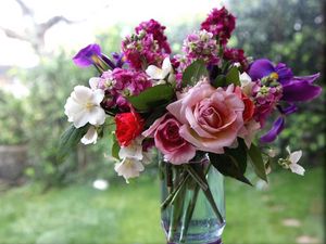 Превью обои розы, цветы, жасмин, букет, ваза, окно
