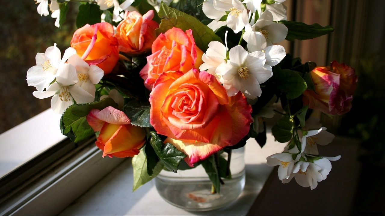 Обои розы, цветы, жасмин, весна, букет, ваза, окно