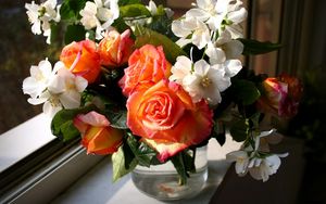 Превью обои розы, цветы, жасмин, весна, букет, ваза, окно