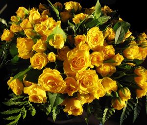 Превью обои розы, цветы, желтые, букет, листья, красота