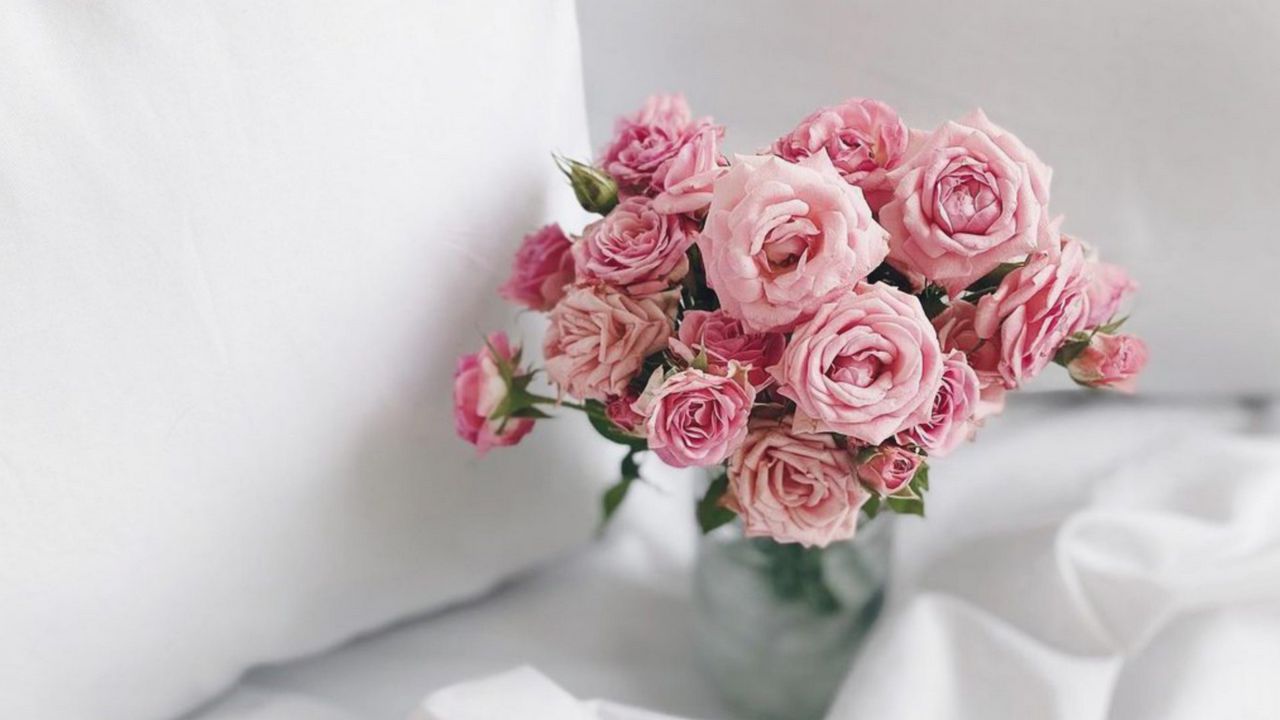 Обои розы, ваза, цветы, эстетика картинки на рабочий стол, фото скачать  бесплатно