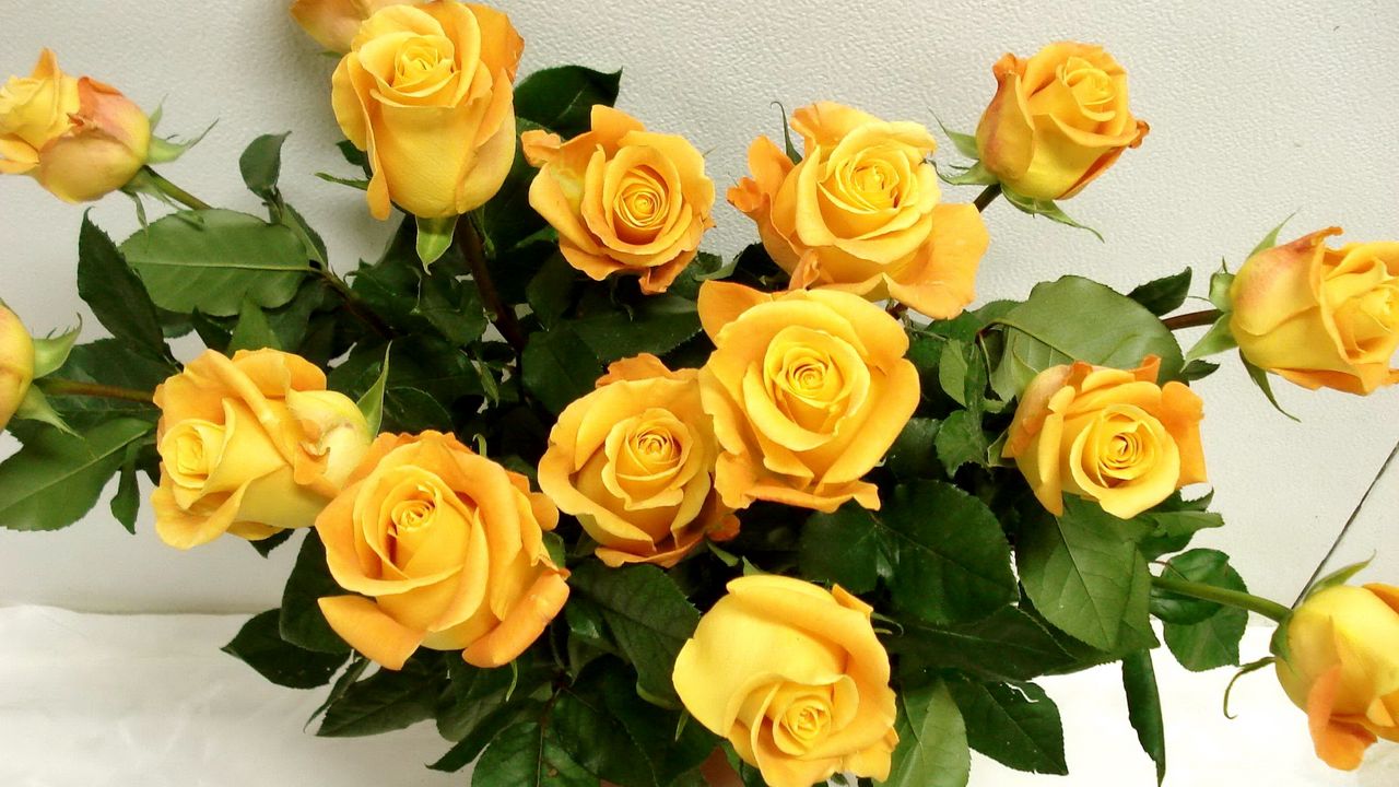 Обои розы, желтые, букет, ваза, шикарно