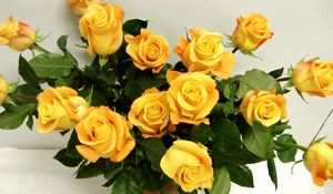 Превью обои розы, желтые, букет, ваза, шикарно
