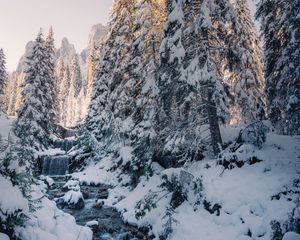 Превью обои ручей, деревья, снег, зима, природа