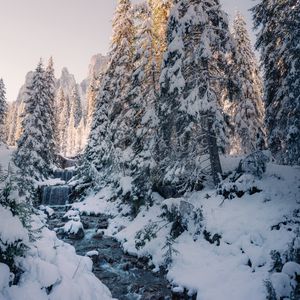 Превью обои ручей, деревья, снег, зима, природа