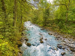 Превью обои ручей, камни, деревья, ветки, пейзаж