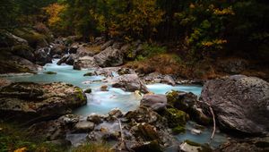 Превью обои ручей, камни, деревья, трава, природа