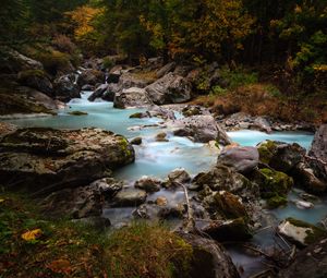 Превью обои ручей, камни, деревья, трава, природа