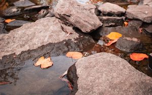 Превью обои ручей, камни, листья, вода, осень, природа