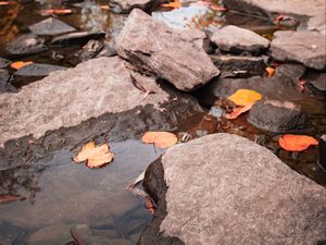 Превью обои ручей, камни, листья, вода, осень, природа