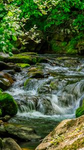 Превью обои ручей, камни, мох, листья, зеленый, природа