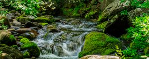 Превью обои ручей, камни, мох, листья, зеленый, природа