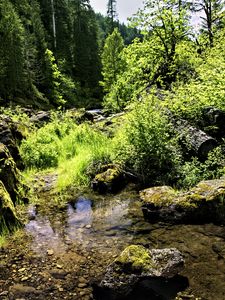 Превью обои ручей, камни, пейзаж, лес, природа