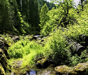 Превью обои ручей, камни, пейзаж, лес, природа