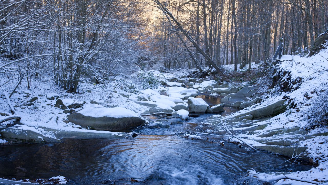 Обои ручей, камни, снег, деревья, зима