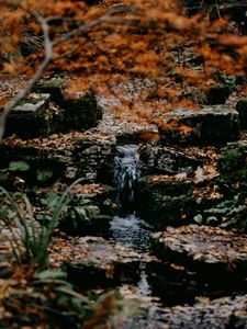 Превью обои ручей, камни, вода, трава, мох