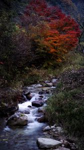 Превью обои ручей, камни, вода, природа