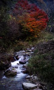 Превью обои ручей, камни, вода, природа