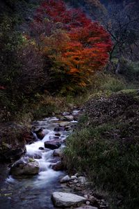 Превью обои ручей, камни, вода, природа