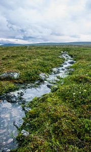 Превью обои ручей, камни, вода, поле, трава, природа